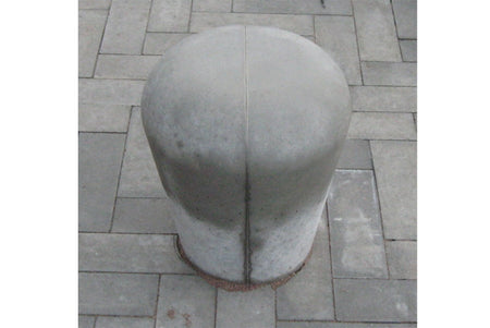 BILDER PÅ SVAMPEN